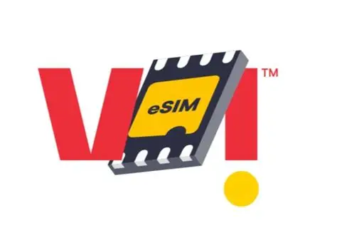 Vi